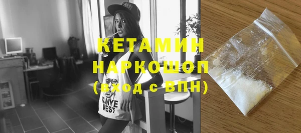 шишки Новодвинск