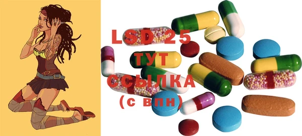 шишки Новодвинск