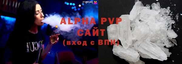 шишки Новодвинск