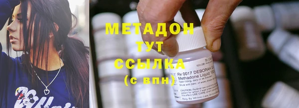 шишки Новодвинск