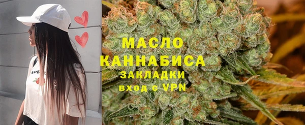шишки Новодвинск