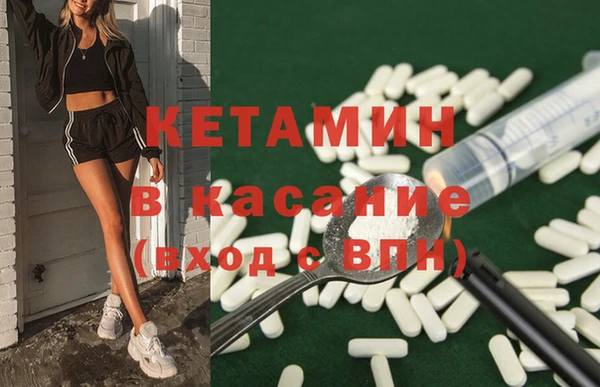 шишки Новодвинск