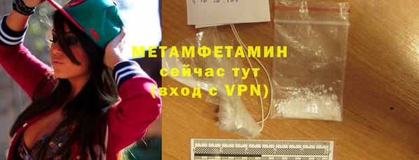 шишки Новодвинск