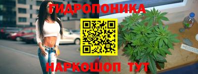 PSILOCYBIN Будённовск