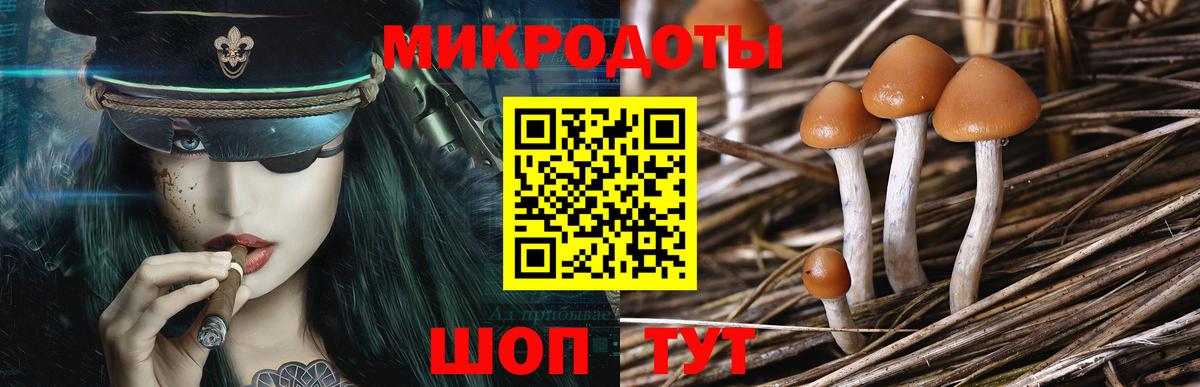 Раменское  даркнет сайт  Вход с VPN  Псилоцибиновые грибы Magic Shrooms 